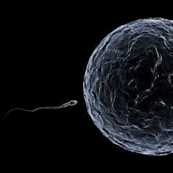 Baisse de la qualité du sperme un désarroi prévisible La