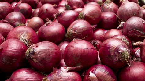 Onion Recall Salmonella Outbreak Linked To Onions Expands To Hundreds