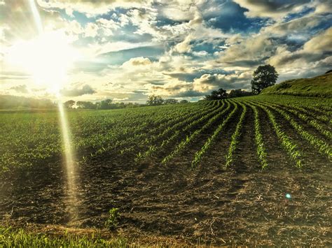 Alternatively search by popular developments in malaysia such as sunway suriamas condominium, almyra residence and novo ampang. Iowa Farmland Prices Land Auction Results 2018 Jan 26 to ...