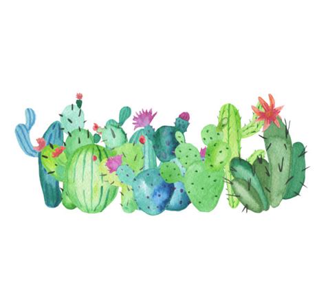 Cactus Borders Illustrations Royalty Free Vector Graphics And Clip Art