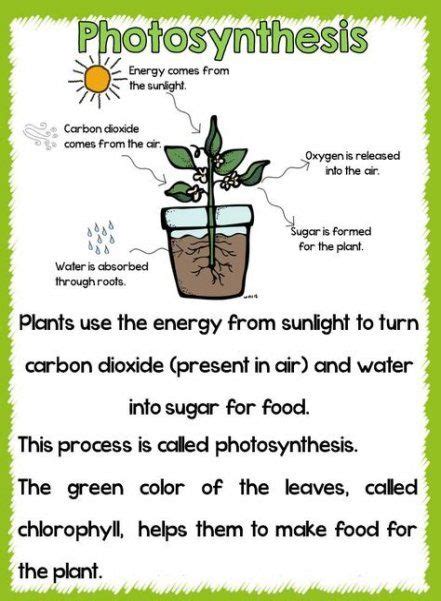 Science Fair Projects For 5th Grade Plants Articles 62 Ideas For 2019