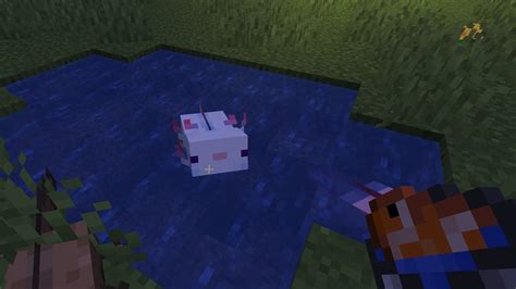 How To Breed Axolotls In Minecraft Gamepur