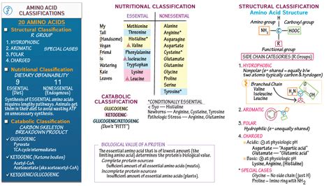 Biochemistry Amino Acid Classification Systems Ditki Medical