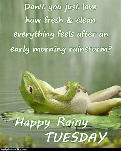 Happy Rainy Tuesday Imgflip