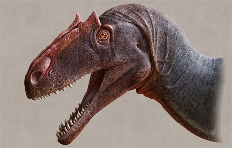 A Second Species Of Allosaurus Has Been Officially Named By Utah