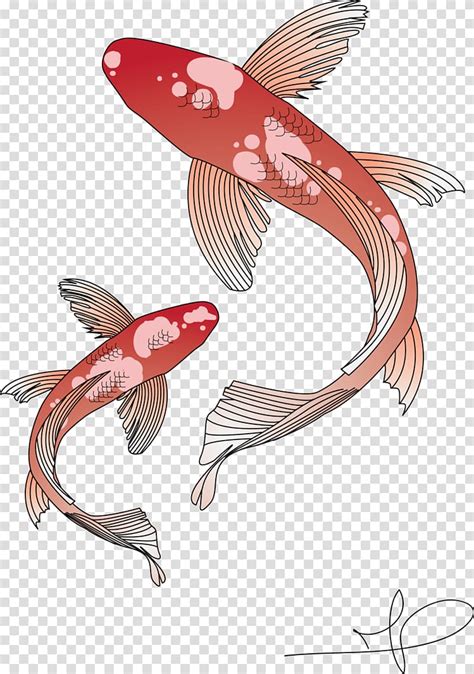 Two Red And White Fish Painting Koi Goldfish Carp Koi Transparent