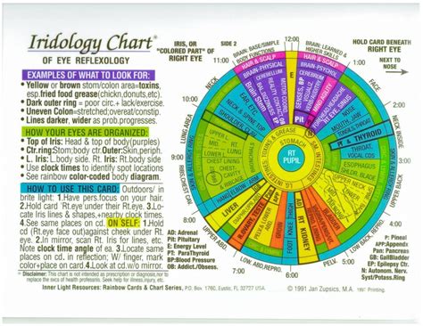 8 Iridology Chart Right Eye Iriscope Iridology Camera Iriscope