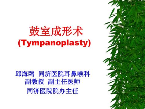 PPT 鼓室成形术 Tympanoplasty PowerPoint Presentation free download ID