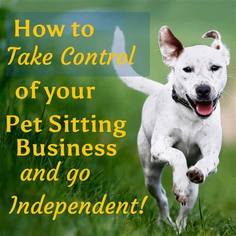 How To Start A Pet Sitting Business