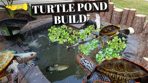 Ultimate Diy Turtle Pond Build Youtube