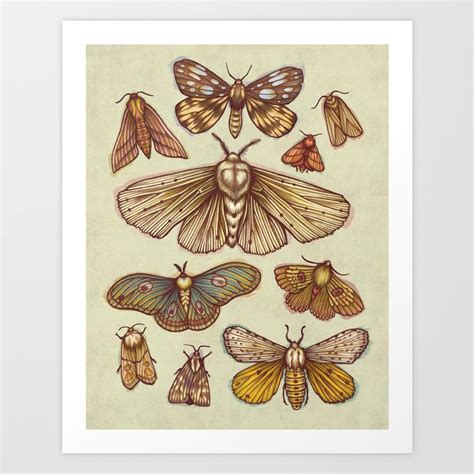 Moths Art Print By Kateoharaillustration Society6
