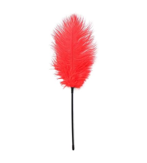 Dreamy Feathers Foreplay Sex Essentials Flirting Feather Movie Props
