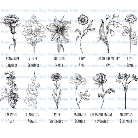 Birth Month Flower Svg Hand Drawn Botanical Clipart Floral Etsy