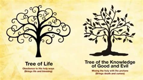 The Tree On The Left Trees Of Eternity Tree Of Life Meaning Tree