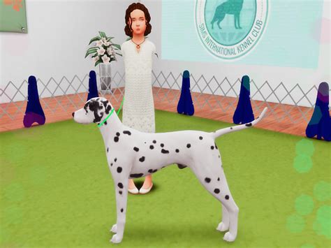 Unleashed Grand Reopening Mixer Sims International Kennel Club