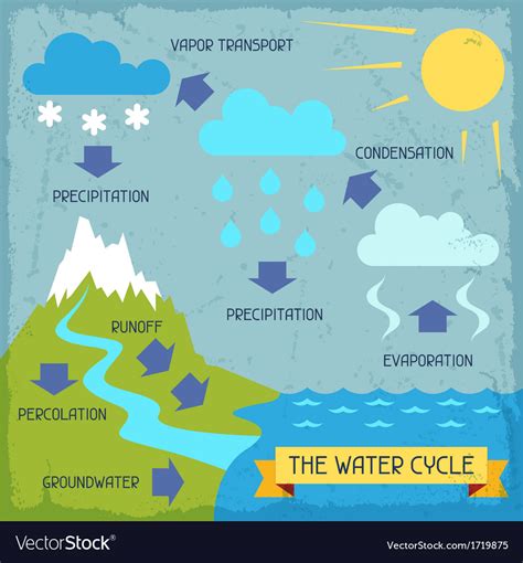 The Water Cycle Poster With Nature Infographics In