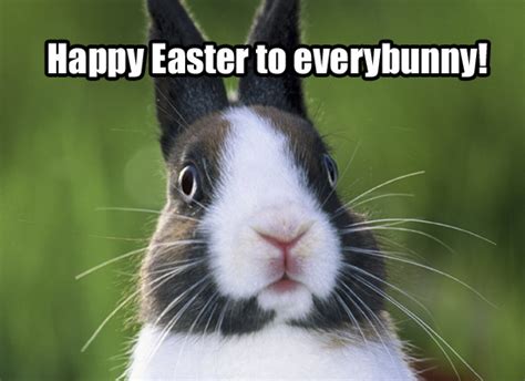 20 Most Funny Easter Images