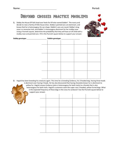 The result is the prediction of all possible combinations of genotypes for the offspring of the dihybrid cross, ssyy x ssyy. Bestseller: Chapter 10 Dihybrid Cross Worksheet Practice ...