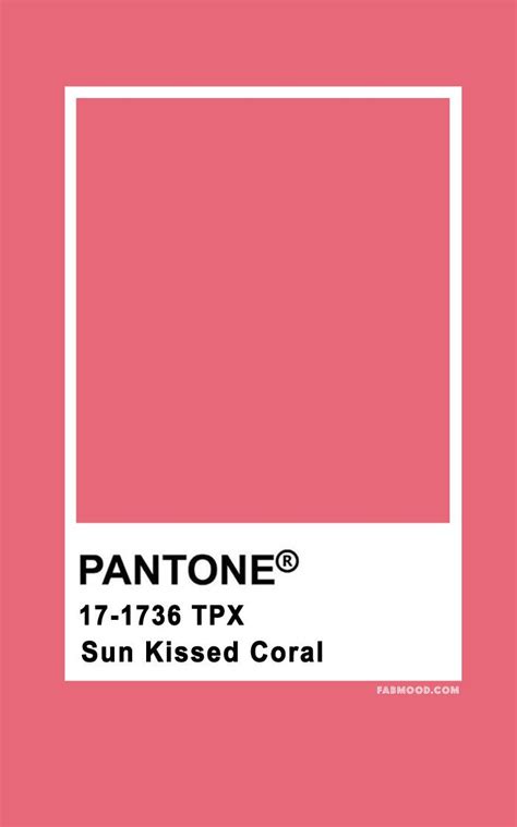 Pantones Sun Kissed Coral Color Is Shown
