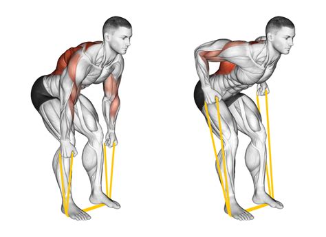 4 Best Lat Exercises With Bands With Pictures Inspire Us