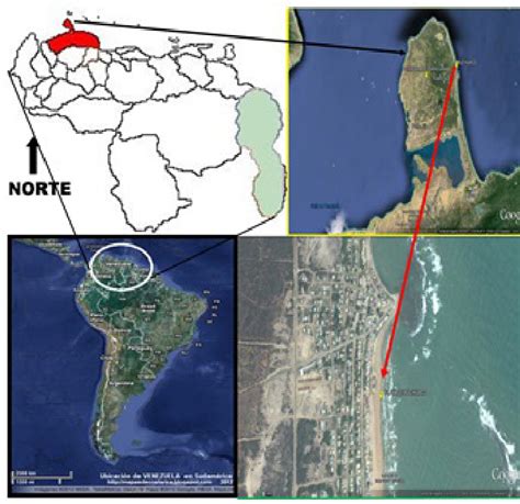 Ubicación Geográfica Relativa De Buchuaco Estado Falcón Venezuela