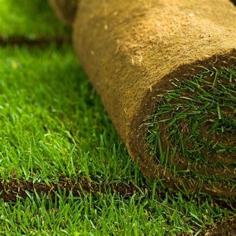 We did not find results for: Laying Your Own Turf Lawn | Collaboration