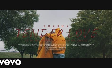 Download Video Sha Sha Tender Love Ft Dj Maphorisa Kabza De Small