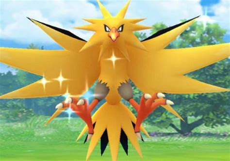 Welcome to buy shiny pokemon with 6iv at nsgms.com. Shiny Zapdos Pokemon GO: Best Raid Guide, Counters ...