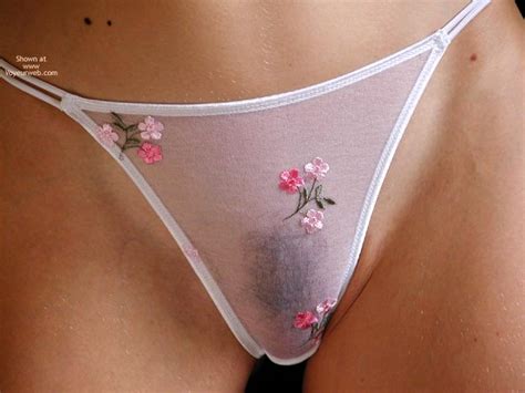 See Through Panty Cameltoe