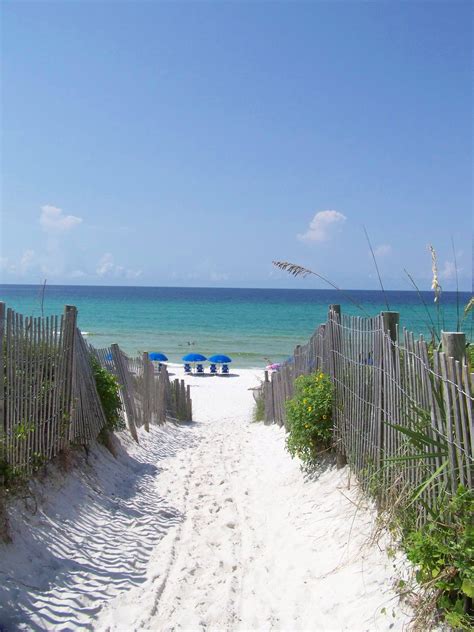 A Sandy Path Leading To The Beach With Blue Umbrellas