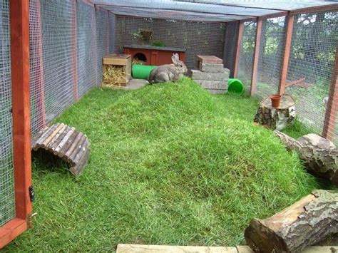 Rabbit Playground Bunny House Pet Rabbit