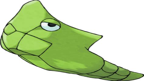 Metapod Know Your Meme