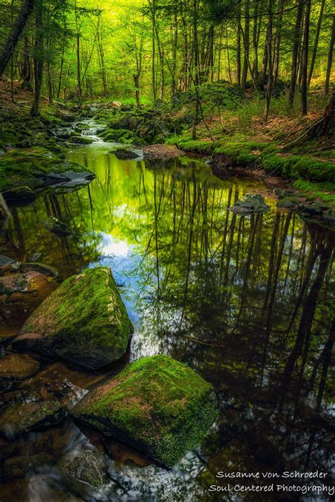 Nature Photography Magical Woodland Scene Summer Creek Fine Art