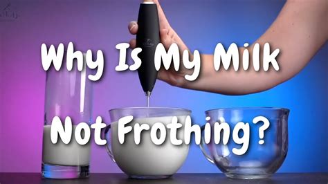 why is my milk not frothing youtube