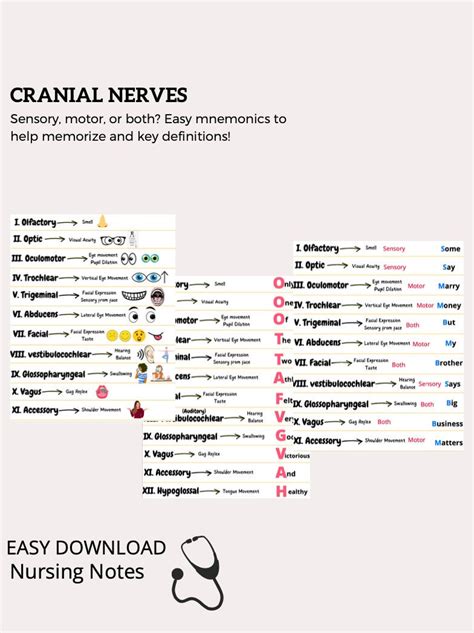 Cranial Nerves Mnemonics Easy To Remember Guide Etsy