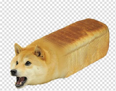Doge Meme Transparent Roblox How To Look Like A Hacker In Roblox No