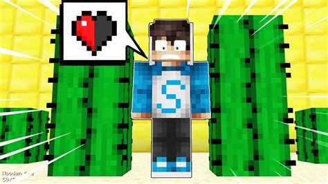 2 Noobs Se Trollean A Medio CorazÓn Con Cactus 🌵 Minecraft Find The