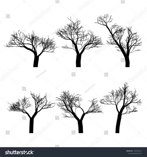 Set Black Naked Trees Silhouette Set Stock Vector Royalty Free