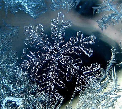 Ice Crystals Snowflakes Snowflake Photography Frozen Snowflake