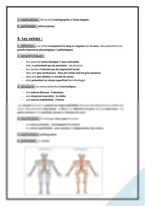 Solution Eme Cours D Anatomie G N Ralit S Sur Les Vaisseaux Sanguins