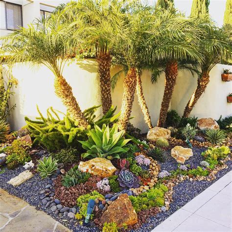 Coastal Succulent Garden Installation In Coronado Ca I Love Working