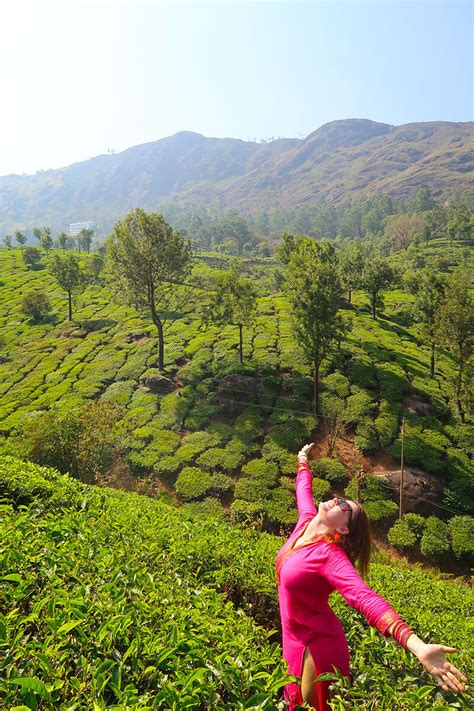 Top 8 Tourist Places Of Munnar In Kerala India Travel Tips The Globetrotting Detective