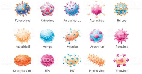 Viral Diseases Study Guide Inspirit Learning Inc