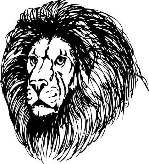 Black White Lion Head Drawing Free Image Download