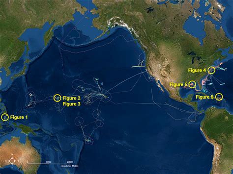 How Much Of The Ocean Floor Has Been Explored 2021