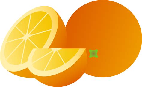 Orange Slice Drawing | Free download on ClipArtMag