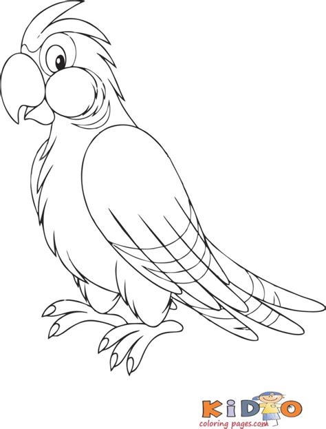 Parrot Printable Coloring Pages For Kids