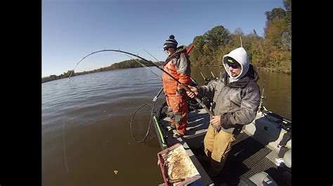A Fun Day Blue Catfishing On The James River Youtube