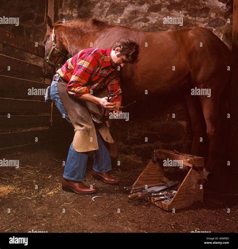 Farrier Blacksmith Shoeing Horse In Barn Stall Copy Space Stock Photo