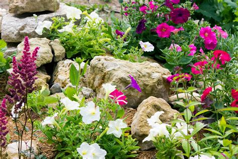 Rock Garden Ideas Angie S List